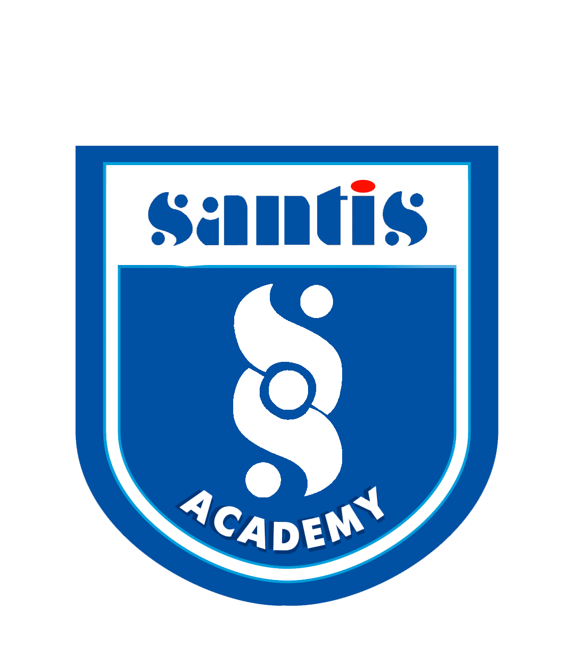 Santis Educational Services
